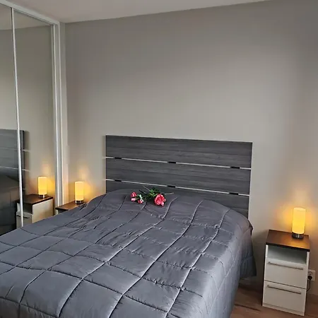 Lux 1 With Sauna Apartment